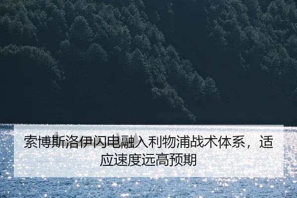 suo-bo-si-luo-yi-shan-dian-rong-ru-li-wu-pu-zhan-shu-ti-xi-shi-ying-su-du-yuan-gao-yu-qi-2-880.jpg